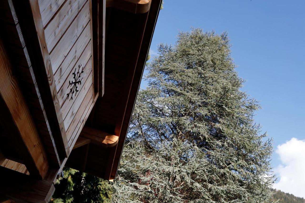 Prestigious Chalet Saint-Gervais-les-Bains Exterior photo